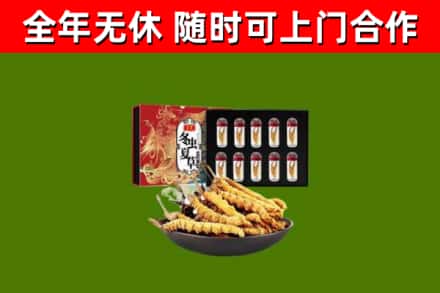 株洲回收冬虫夏草价格